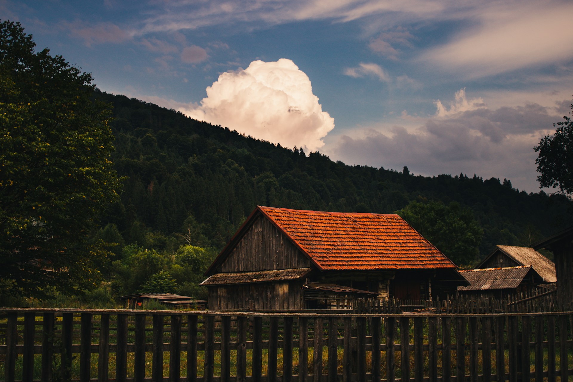 drewniana-chata-posrod-lasu